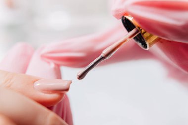 Manikür işlemi. Manikürcü oje sürüyor. Tırnak cilası..