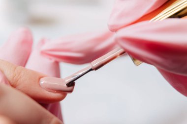 Manikür işlemi. Manikürcü oje sürüyor. Tırnak cilası..