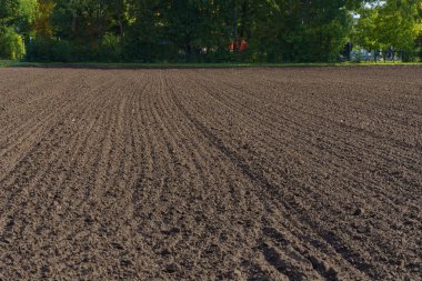 Sebze tohumları ekmek için taze sürülmüş bahar tarlası. İzler mesafeye kadar uzanıyor. Orman arka planda.
