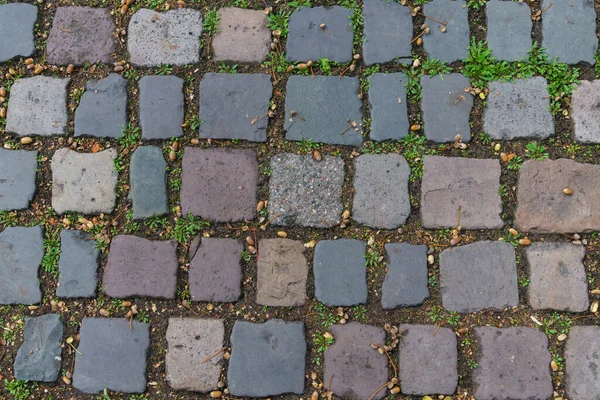 Kare taşlarla döşenmiş asfalt. Yukarıdan bak. Taşların arasına düşen meşe palamutları.