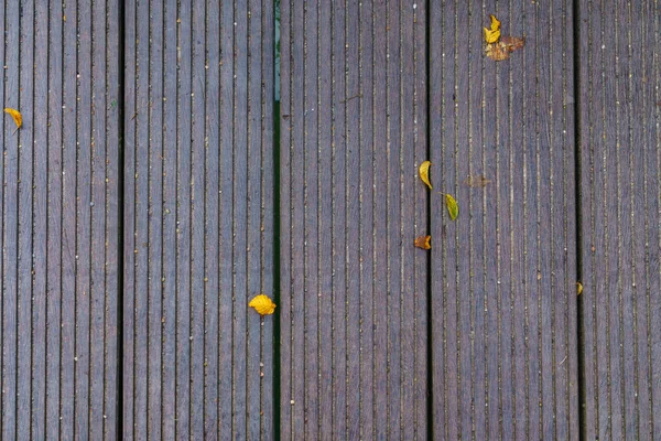 High Angle View Boardwalk Sparse Fallen Leaves Close — Stock Photo, Image