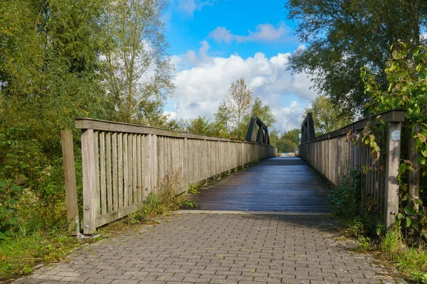 Pohled Dřevěný Most Zábradlím Stranách Jsou Stromy Modrá Obloha Bílými — Stock fotografie