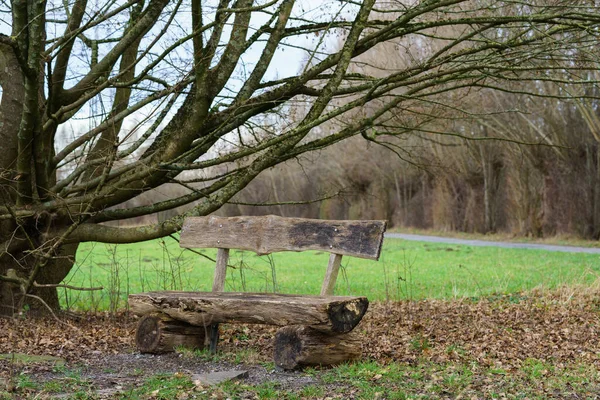 Stara Drewniana Ławka Pod Drzewem Późna Jesień Romantyczne Miejsce Piknik — Zdjęcie stockowe