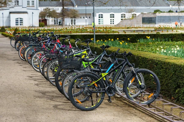 Bicycles Row Bicycle Parking City Park Springtime — Stock Photo, Image
