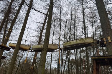 Ormanda, ahşap platformlar uzun ağaçların arasında eski tekneleri tutar. Gökyüzü bulutlu görünüyor ve dallar az yaprak gösteriyor. Burası sessiz görünüyor ve açık hava aktiviteleri için tasarlanmış..