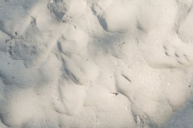 Kum plajı dokusu arka planı