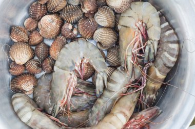 Taze karides ve cockle