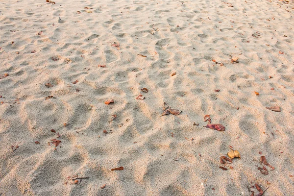 Homokos strand textúra háttér — Stock Fotó