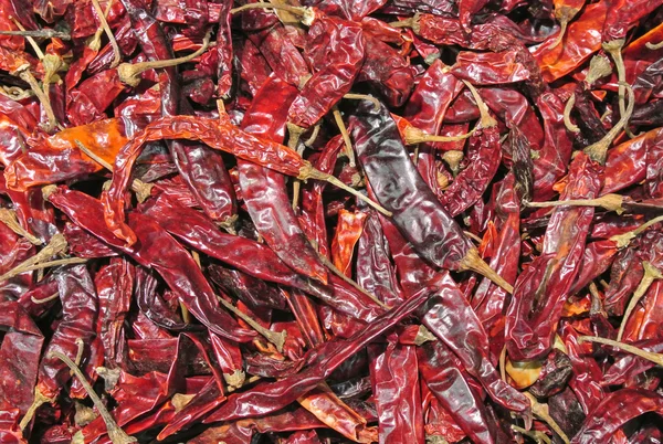 Peperoncino rosso secco — Foto Stock