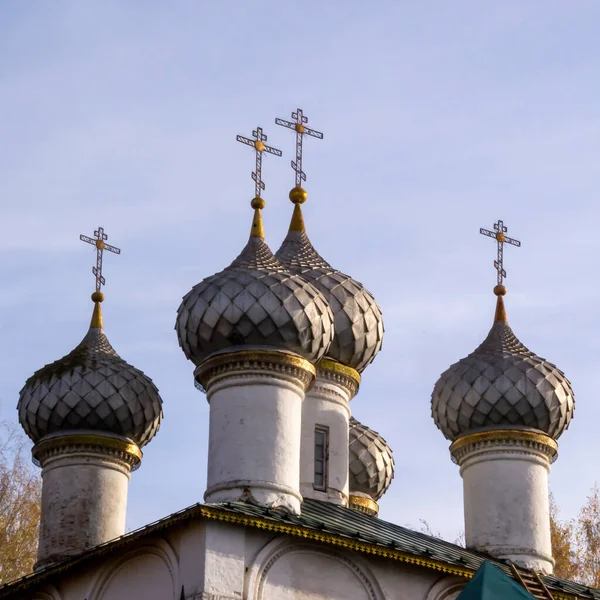 Graue Kuppeln Theologische Kirche Der Nähe Des Ipatiev Klosters — Stockfoto