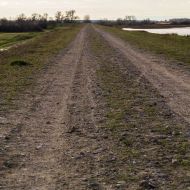Ufka giden toprak yol