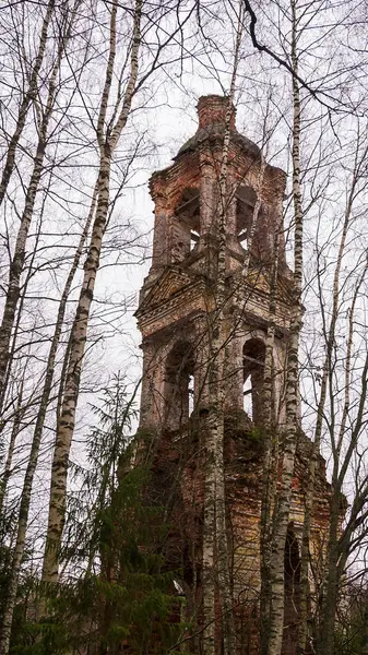 Stará Opuštěná Zvonice Lese Mezi Břízami Kostel Nejsvětější Trojice Troitsa — Stock fotografie
