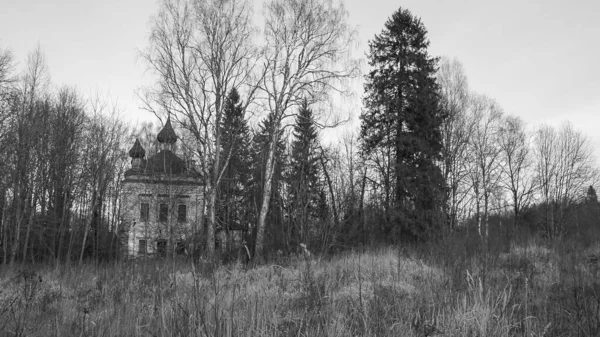 Landskap Övergiven Kyrka Skogen Den Djupa Hösten Nikolskaja Kyrka Nikolskoye — Stockfoto