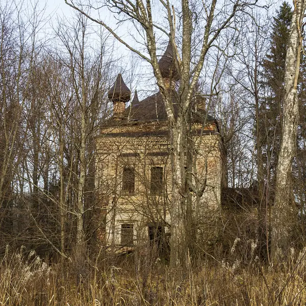 Igreja Abandonada Entre Árvores Igreja Nikolaevskaya Aldeia Nikolskoye Sendega Nikola — Fotografia de Stock
