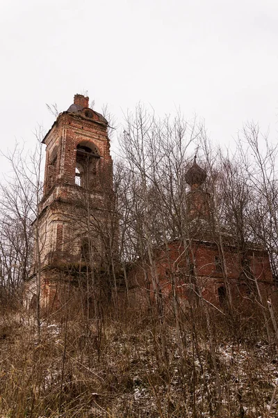 Igreja Ortodoxa Abandonada Entre Árvores Suposição Igreja Trato Salenka Distrito — Fotografia de Stock