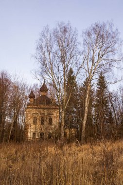 Nikolskaya Kilisesi, Nikolskoye Köyü, Nikola Pustyn Köyü, Kostroma Bölgesi, Rusya