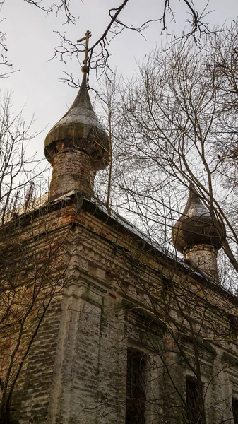 Kuppeln Einer Verlassenen Kirche Nikolajewskaja Kirche Nikolskoje Dorf Auf Sendega — Stockfoto