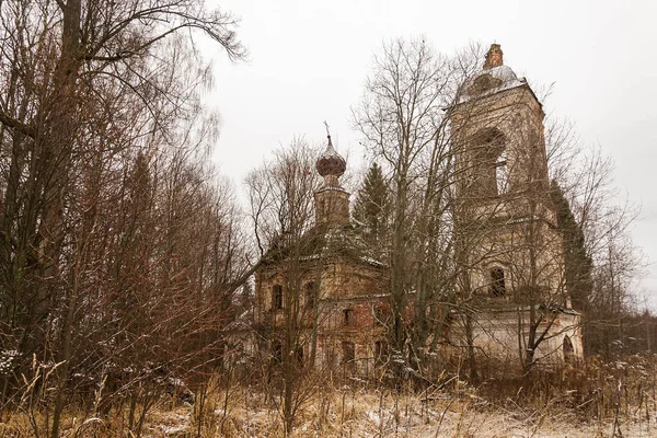 Opuštěný Kostel Lesní Krajině Kostel Nanebevzetí Panny Marie Salenka Trakt — Stock fotografie