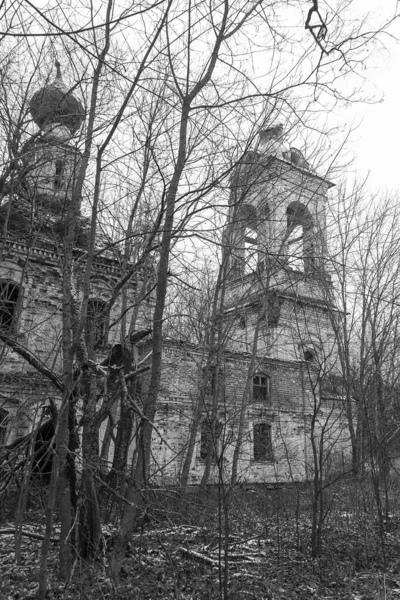 Verlassene Orthodoxe Kirche Unter Bäumen Marienkirche Salenka Trakt Sudislawskij Bezirk — Stockfoto