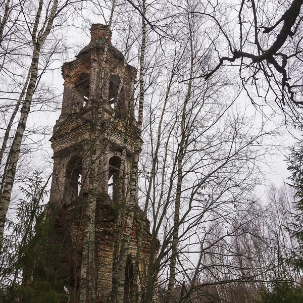 Ağaçların Arasındaki Ormanda Terk Edilmiş Eski Çan Kulesi Troitsa Zazharye — Stok fotoğraf