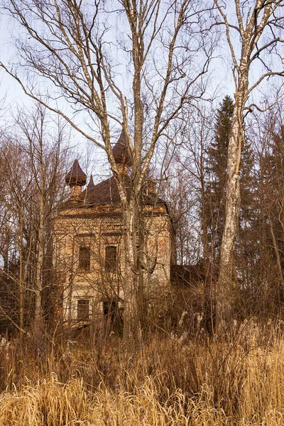 Εγκαταλελειμμένη Εκκλησία Ανάμεσα Στα Δέντρα Nikolaevskaya Εκκλησία Nikolskoye Χωριό Sendega — Φωτογραφία Αρχείου