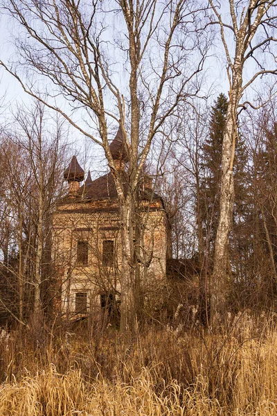 Opuštěný Kostel Mezi Stromy Kostel Nikolajevskaja Vesnice Nikolskoye Sendega Nikola — Stock fotografie