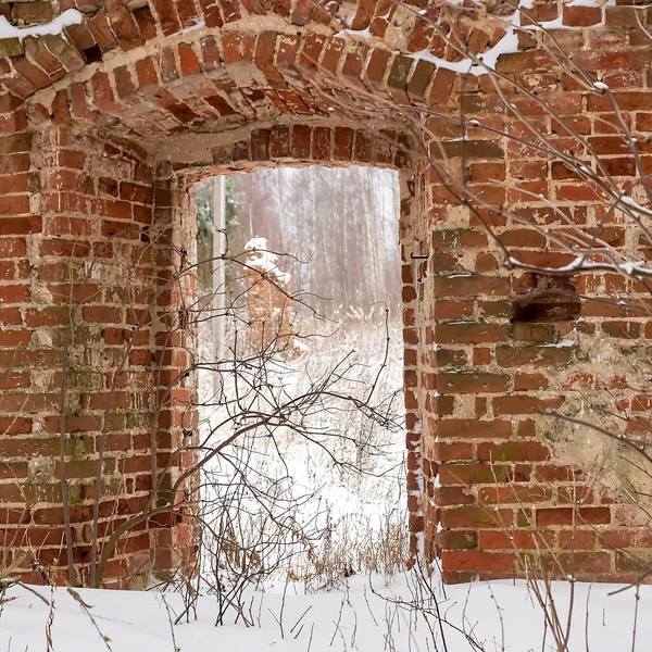 Igreja Abandonada Aldeia Panino Região Kostroma Rússia — Fotografia de Stock