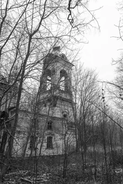 俄罗斯科斯特罗马州Salenka地区的教堂 一座废弃寺庙的钟楼 — 图库照片