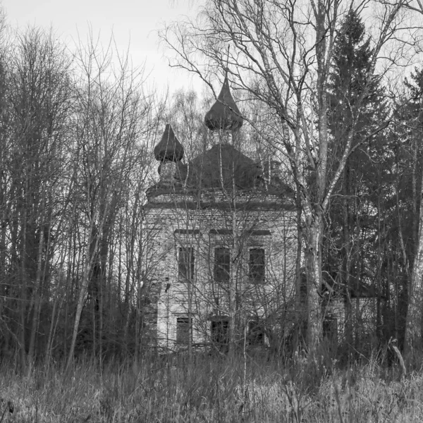 Verlassene Kirche Zwischen Bäumen Nikolajewskaja Kirche Nikolskoje Dorf Auf Sendega — Stockfoto