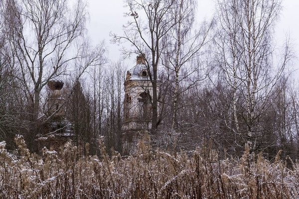 заброшенная церковь в лесном ландшафте, Успенская церковь, Саленский тракт, Судиславский район, Костромская область, Россия