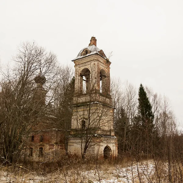 Igreja Ortodoxa Abandonada Entre Árvores Suposição Igreja Trato Salenka Distrito — Fotografia de Stock