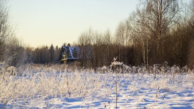 Ormanda soğuk kış güneşli bir gün.