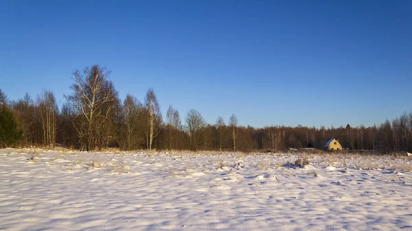 Krajobraz Mroźny Zima Słoneczny Dzień Lesie — Zdjęcie stockowe
