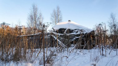 Rusya 'da terk edilmiş bir köyde harap bir ev.
