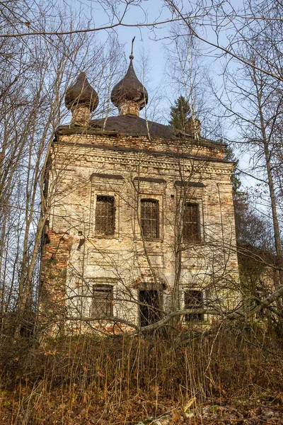 Église Abandonnée Parmi Les Arbres Église Nikolaevskaya Village Nikolskoye Sur — Photo