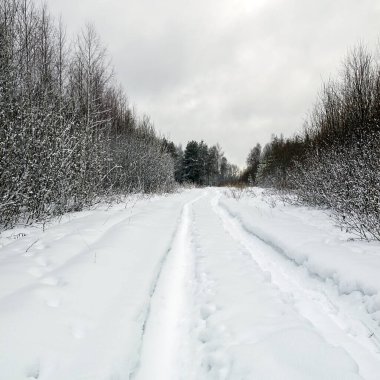 Ormanda karla kaplı köy yolu