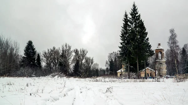 Τοπίο Πανόραμα Χειμερινό Δρόμο Στο Δάσος — Φωτογραφία Αρχείου