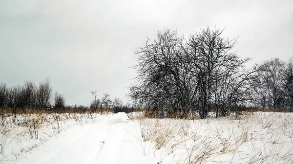 Snow Covered Country Road Forest — Stock Photo, Image