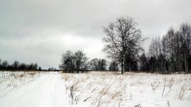 Ormanda karla kaplı köy yolu