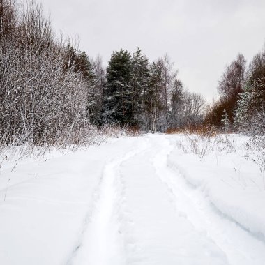 Ormanda karla kaplı köy yolu