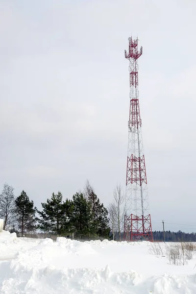 Torre Celular Campo Inverno — Fotografia de Stock
