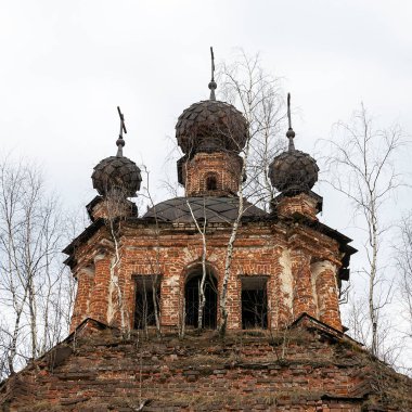 Beş kubbeli Ortodoks kilisesi, Troitsky köyü, Kostroma bölgesi, Rusya