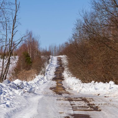 Ormanda yol, ilkbaharın başlarında