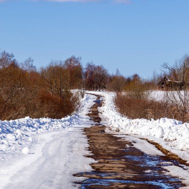 Ormanda yol, ilkbaharın başlarında