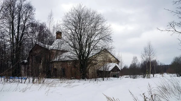 Destroyed Building Bushes Temple Village Uglyovo Kostroma Region Russia — Stock Photo, Image