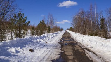 Ormanda yol, ilkbaharın başlarında