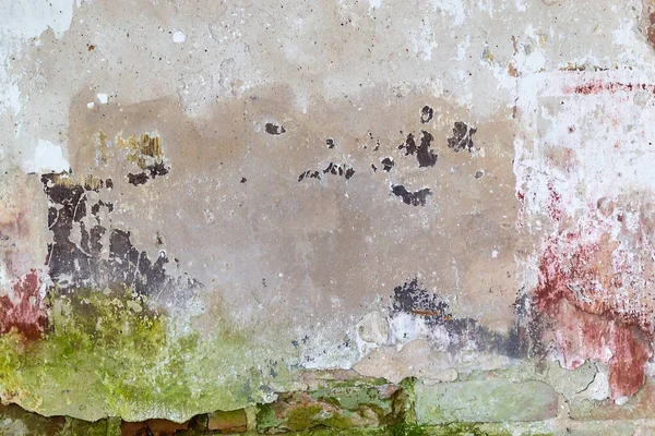 remains of drawings on the walls of a destroyed Orthodox church, Troitskoye village, Kostroma region, Russia