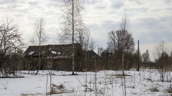 在一个废弃的村子里被毁的房子 — 图库照片
