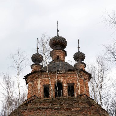 Beş kubbeli Ortodoks kilisesi, Troitsky köyü, Kostroma bölgesi, Rusya