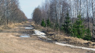 Baharda çamurlu orman yolu